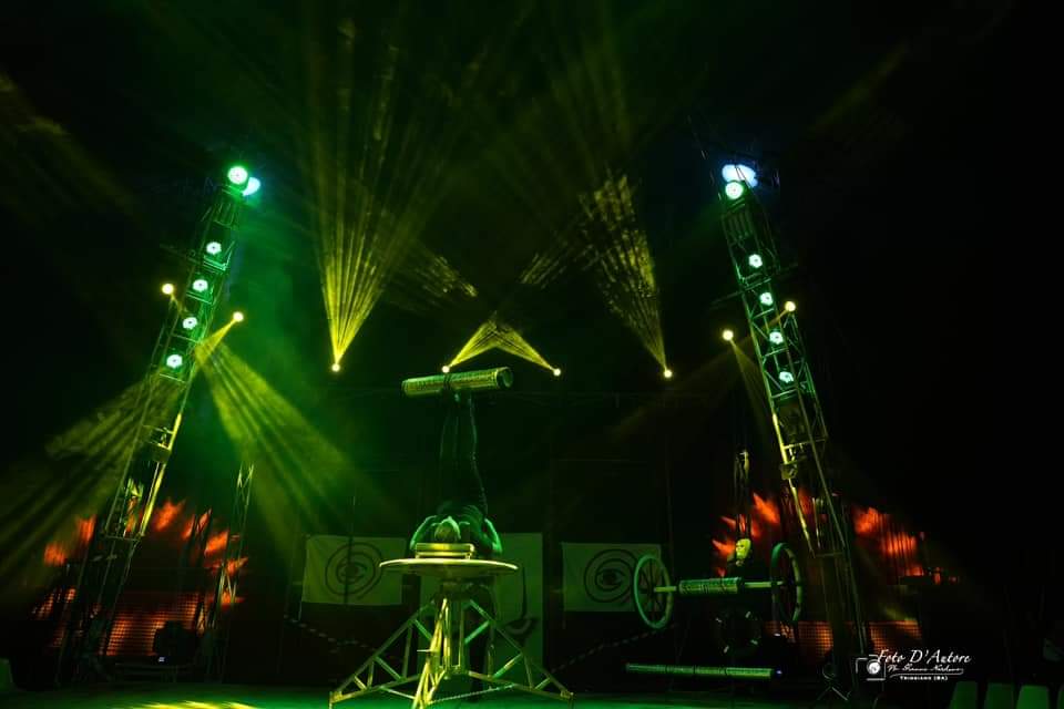 Manicomio Circus